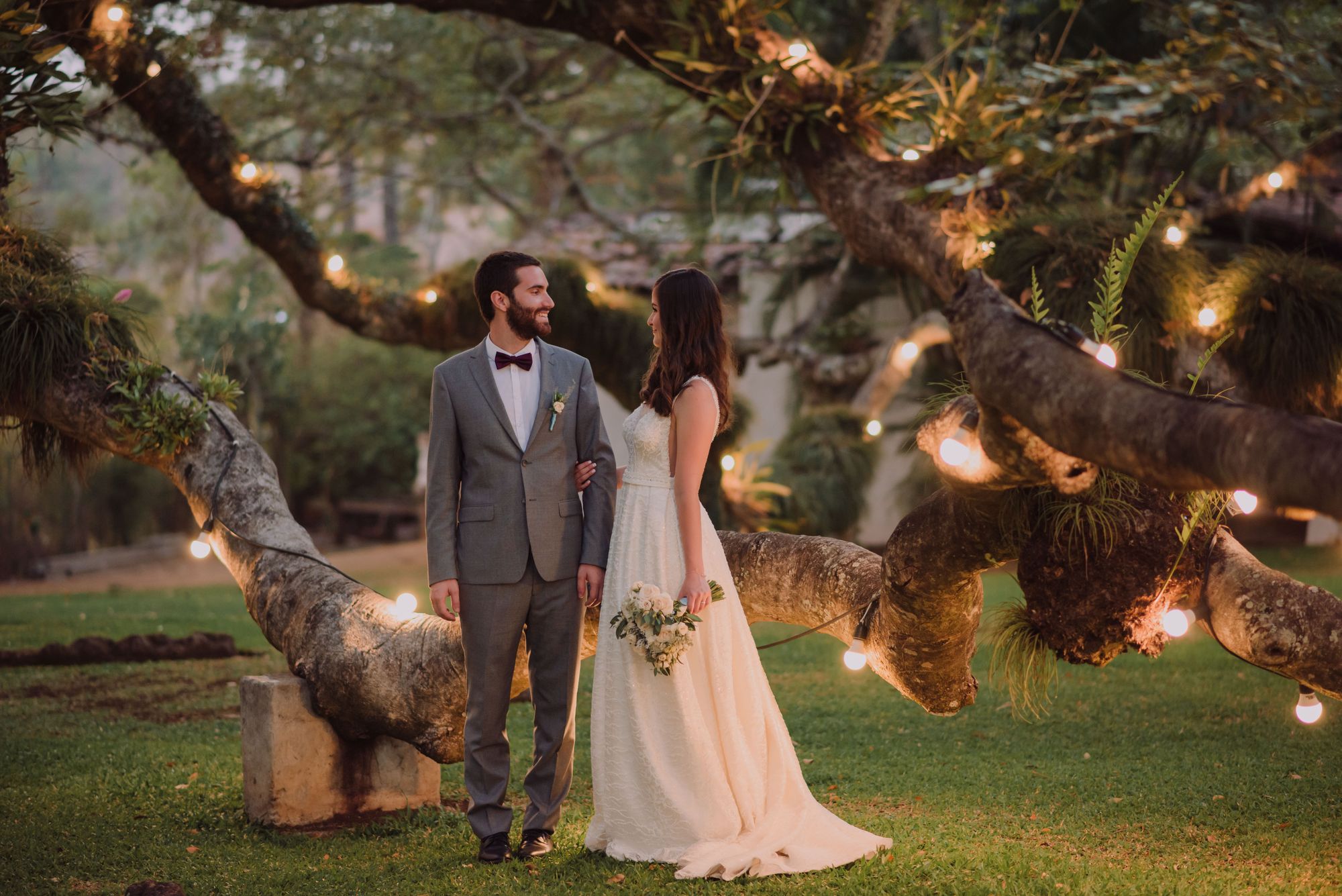 Novios bajo un árbol decorado con luces
